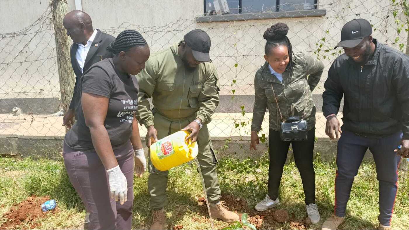 Collective Commitment to Tree Planting